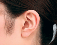 WIDEXワイデックス補聴器パッション