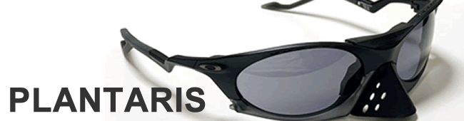 plantaris